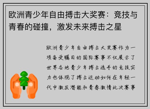 欧洲青少年自由搏击大奖赛：竞技与青春的碰撞，激发未来搏击之星